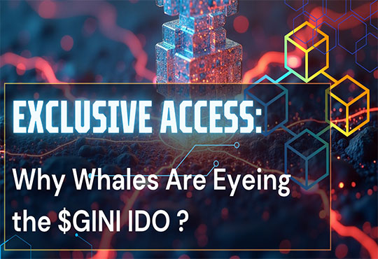 Exclusive Access: Why Whales Are Eyeing the $GINI IDO 